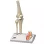 Mini Knee Joint with cross section A85/1