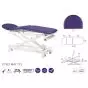 Multi-function Electric Massage Table in 3 parts Ecopostural C7521