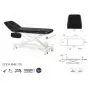 Electric Massage Table in 2 parts with armrests Ecopostural C7534