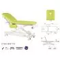 Electric Massage Table in 2 parts Ecopostural C7551 with armrests