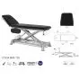 Electric Massage Table in 2 parts with armrests Ecopostural C7934