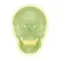 Skull neon light A20/N