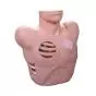 Chest Drain Manikin - Mediprem 