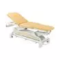 Ecopostural 2 section narrow ended electric table with arm rests C3562M44