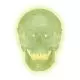 Skull neon light A20/N