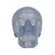 Transparent Classic Human Skull A20/T