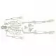 Disassembled human skeleton model - Mediprem