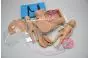 Advanced childbirth simulator W45025