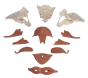 Female pelvic floor model 12 parts Erler Zimmer