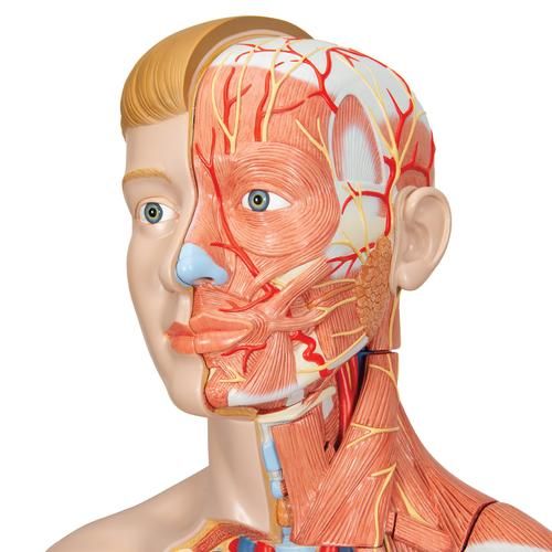 medical supplies medical equipments on girodmedical eu