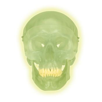 Skull neon light A20/N