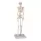 Mini-Skeleton W10530