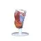 2-part Larynx, G22