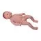 Infant model with umbilical cord Mediprem
