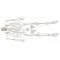 Disassembled human skeleton model - Mediprem