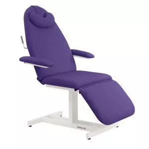 Podiatry Fixed High Chair with armrests Ecopostural C4371