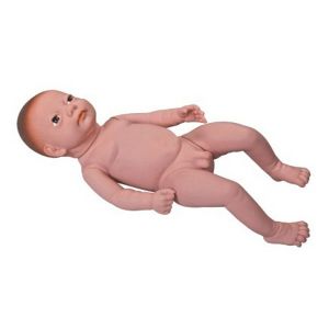 Infant model without umbilical cord
