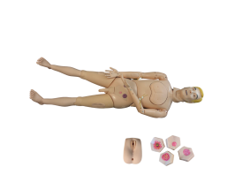 Bisexual Adult Basic Nursing Mannequin